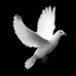 Meet your Posher, Heaven